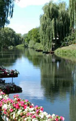 restaurant auberge ill alsace